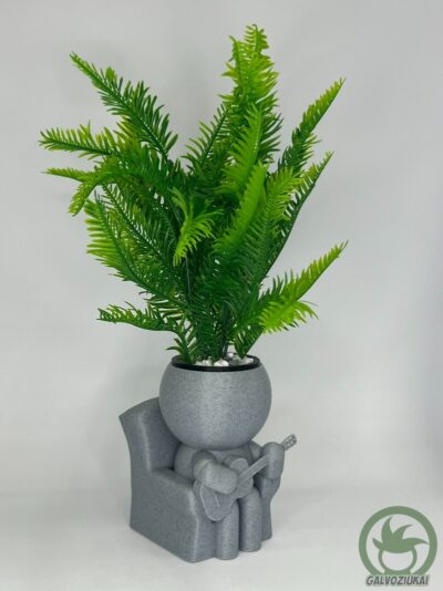 GALVOZIUKAS – Gitaristas