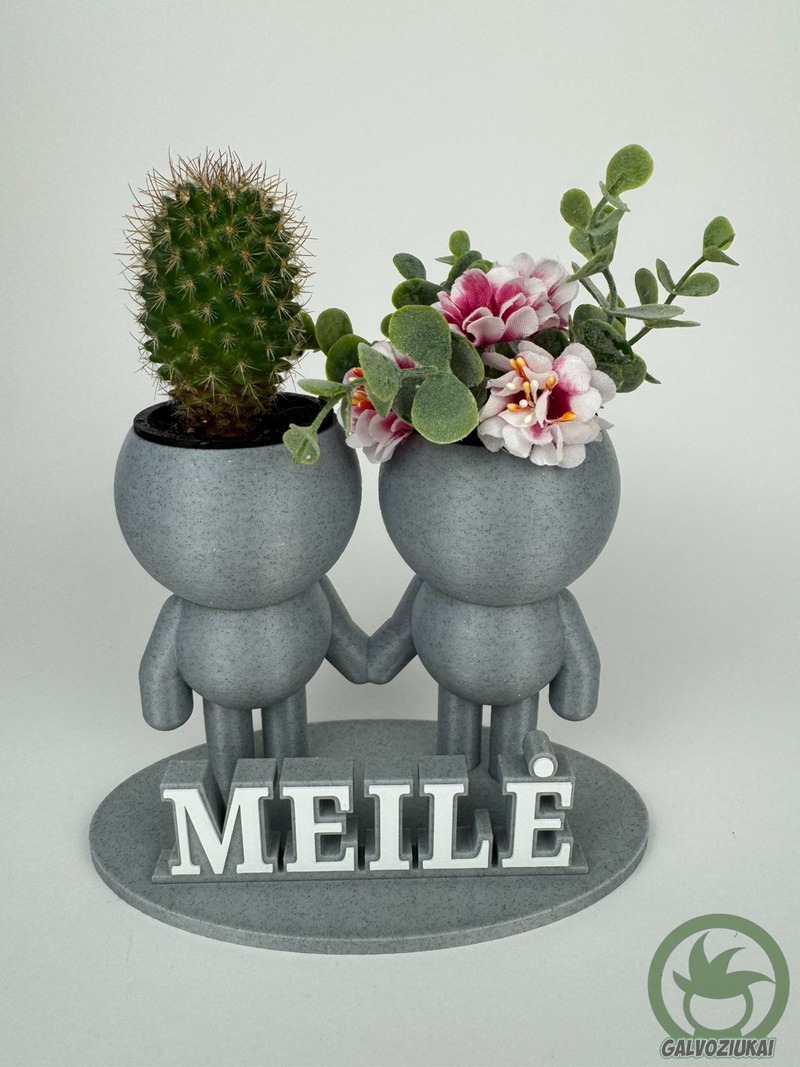 GALVOZIUKAI – Mylimukai