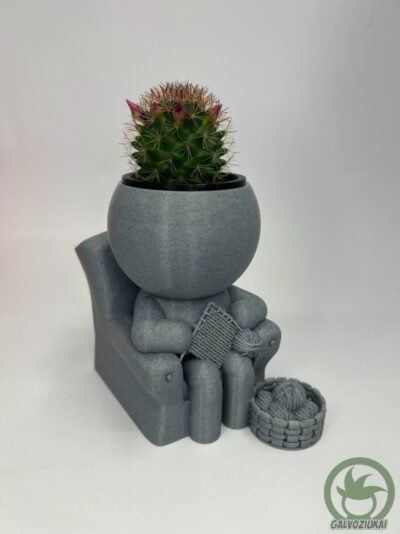 GALVOZIUKAS – Mezgėjas