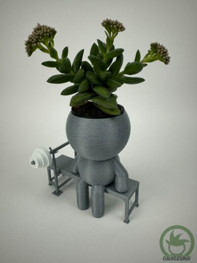 GALVOZIUKAS – Štanginis