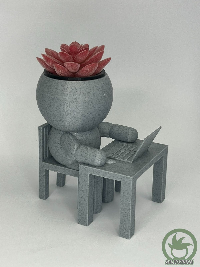 GALVOZIUKAS – Kompiuteristas