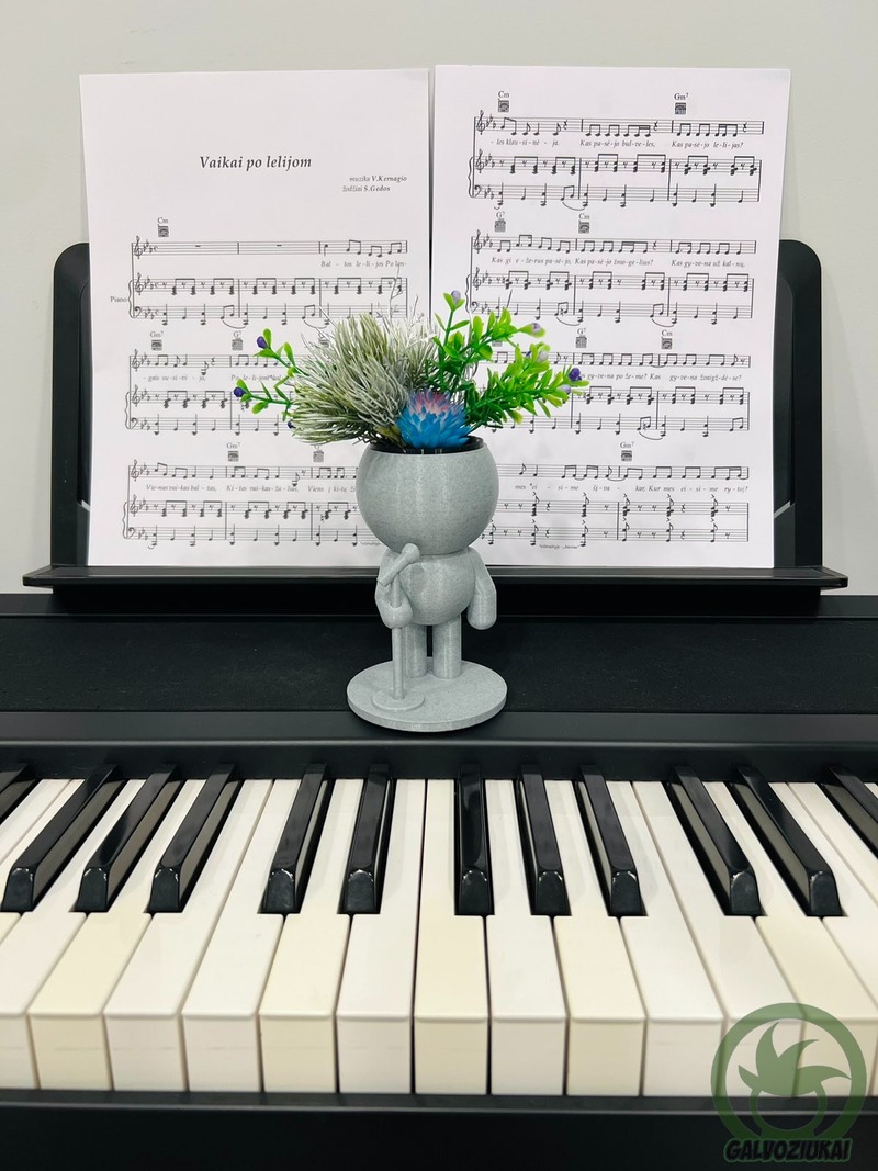 GALVOZIUKAS – Atlikėjas - Image 3