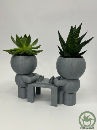 GALVOZIUKAS – Šachmatininkai