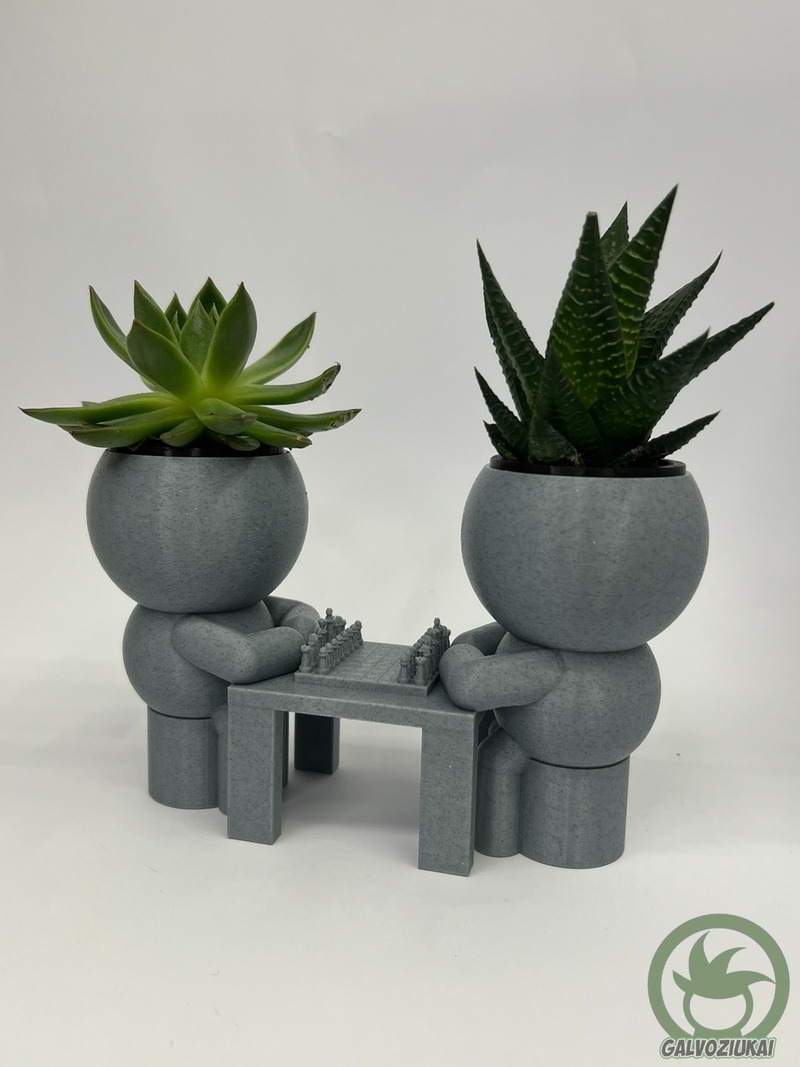 GALVOZIUKAS – Šachmatininkai