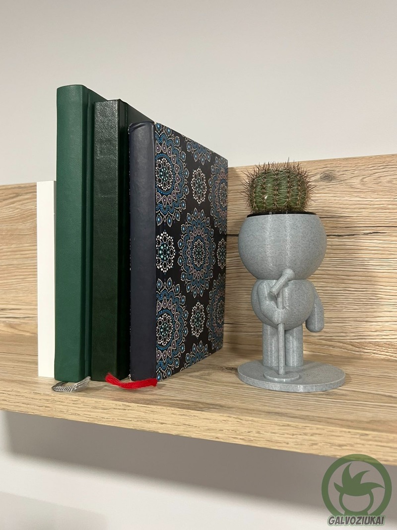 GALVOZIUKAS – Atlikėjas - Image 4