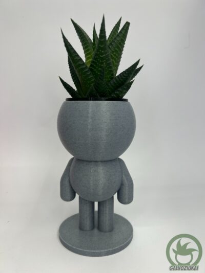 GALVOZIUKAS – Tvirtuolis