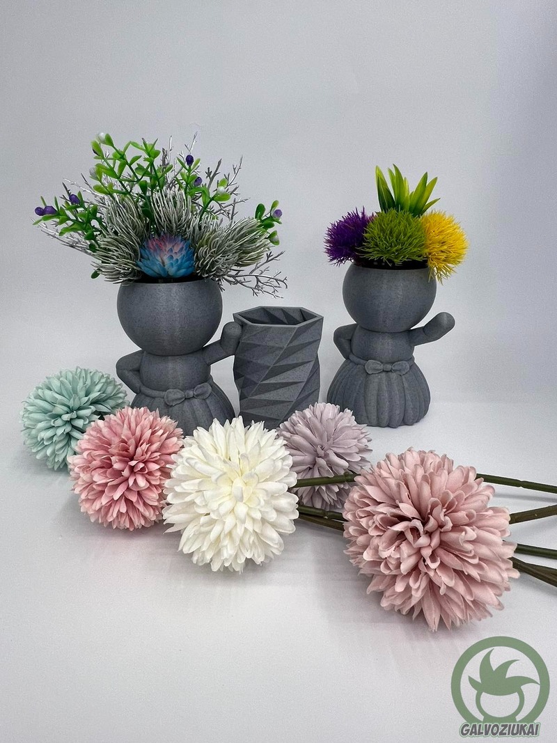 GALVOZIUKAS – Šokėjas - Image 3