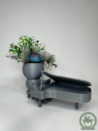 GALVOZIUKAS – Fortepijonistas