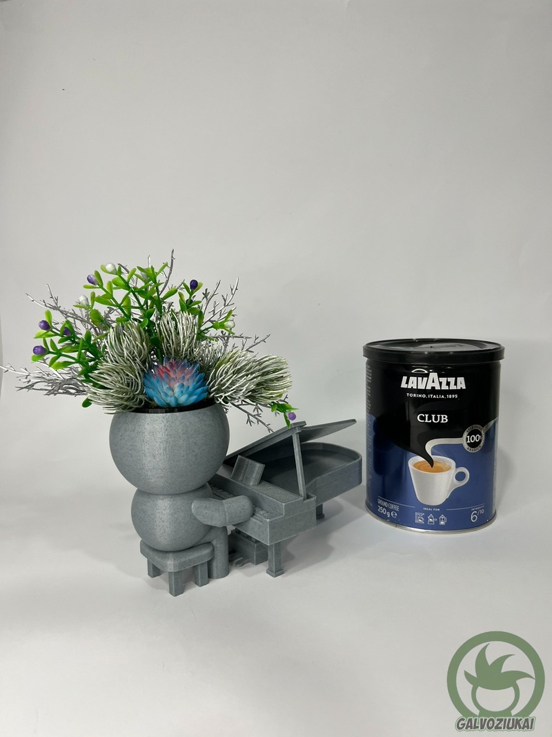 GALVOZIUKAS – Fortepijonistas - Image 5