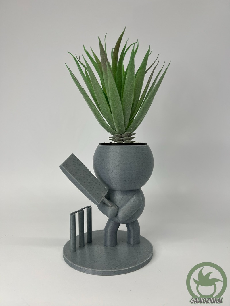 GALVOZIUKAS – Kriketo žaidėjas