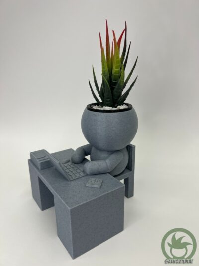 GALVOZIUKAS – Buhalteris