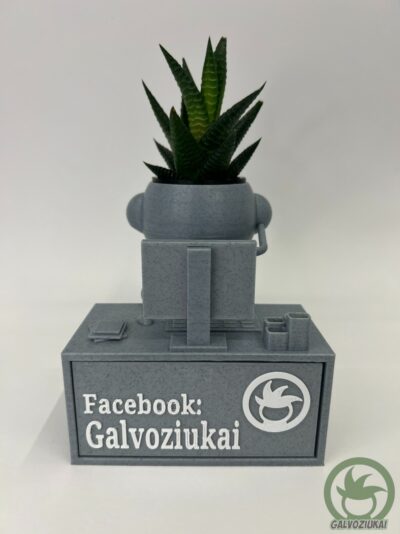 GALVOZIUKAS – Vadybininkas