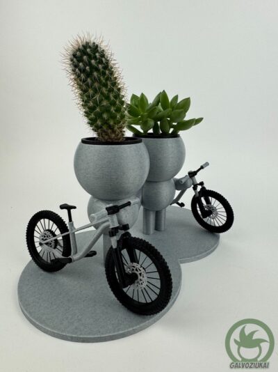 GALVOZIUKAI – Dviratininkai