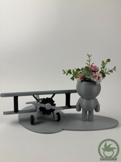 GALVOZIUKAS – Pilotas