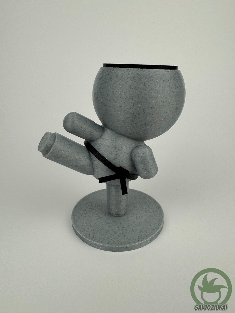 GALVOZIUKAS – Karatistas - Image 4