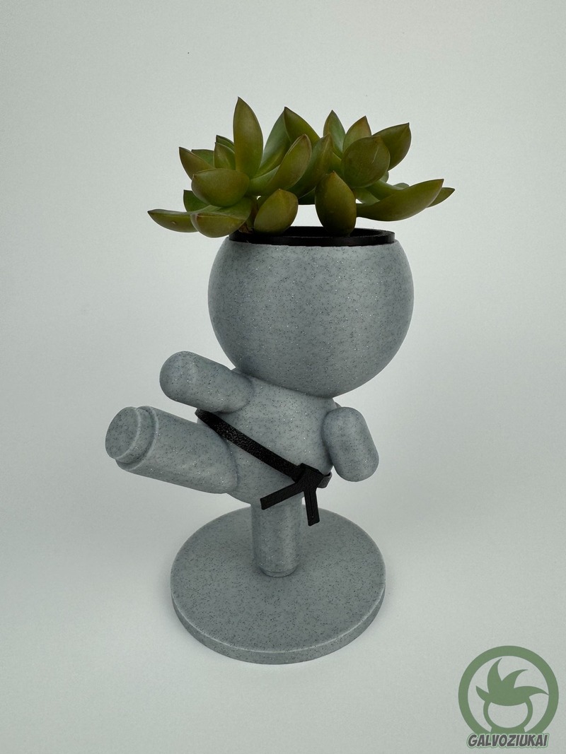 GALVOZIUKAS – Karatistas - Image 3