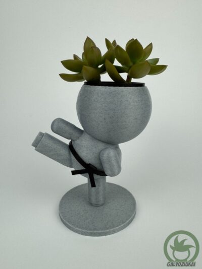 GALVOZIUKAS – Karatistas