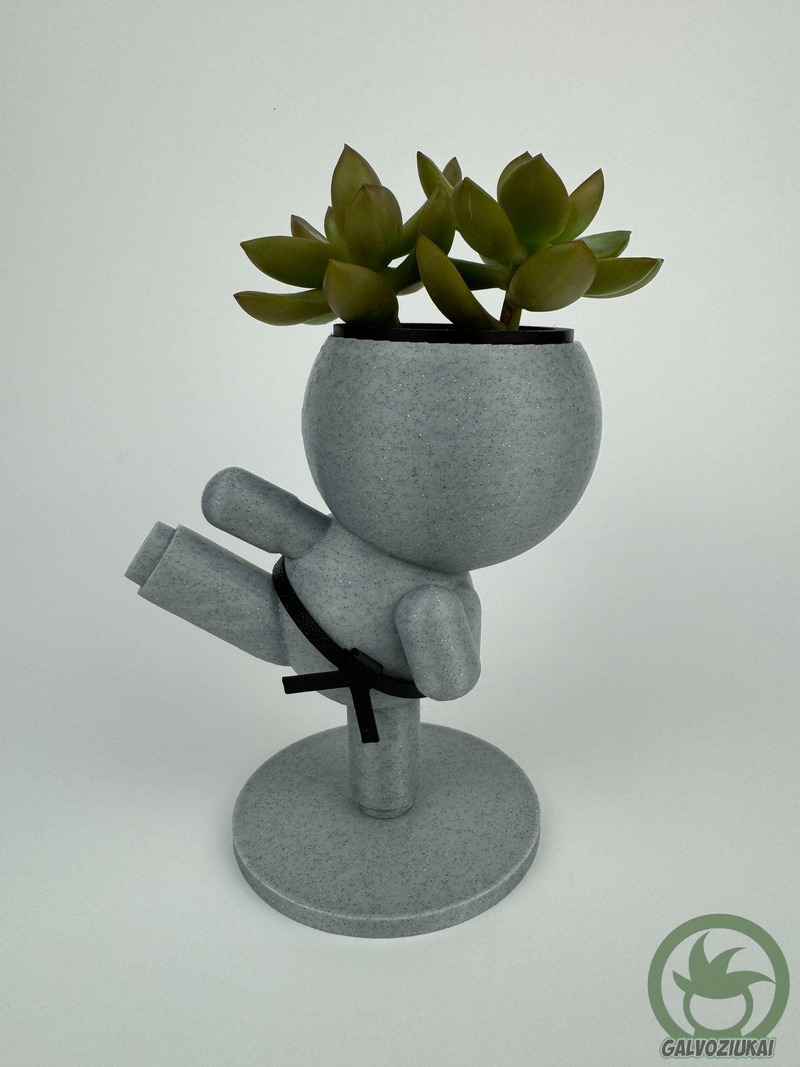 GALVOZIUKAS – Karatistas