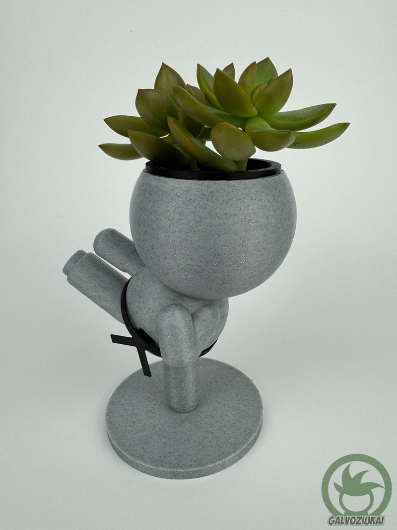 GALVOZIUKAS – Karatistas - Image 2